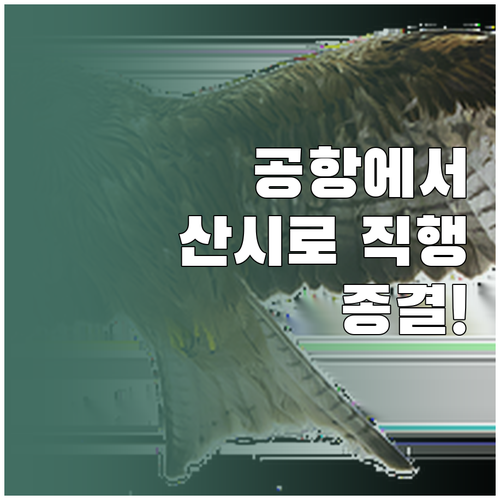 밀라노 말펜사 공항에서 산시로 경기장..
