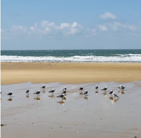 태안 추천 관광지 베스트10 관련 사진