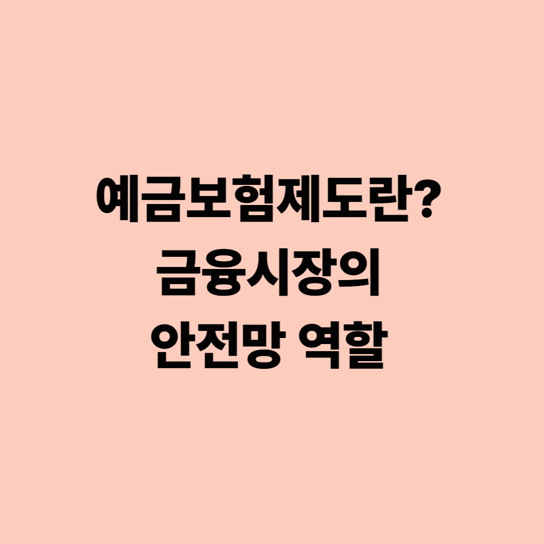 예금보험제도란? 금융시장의 안전망 역할