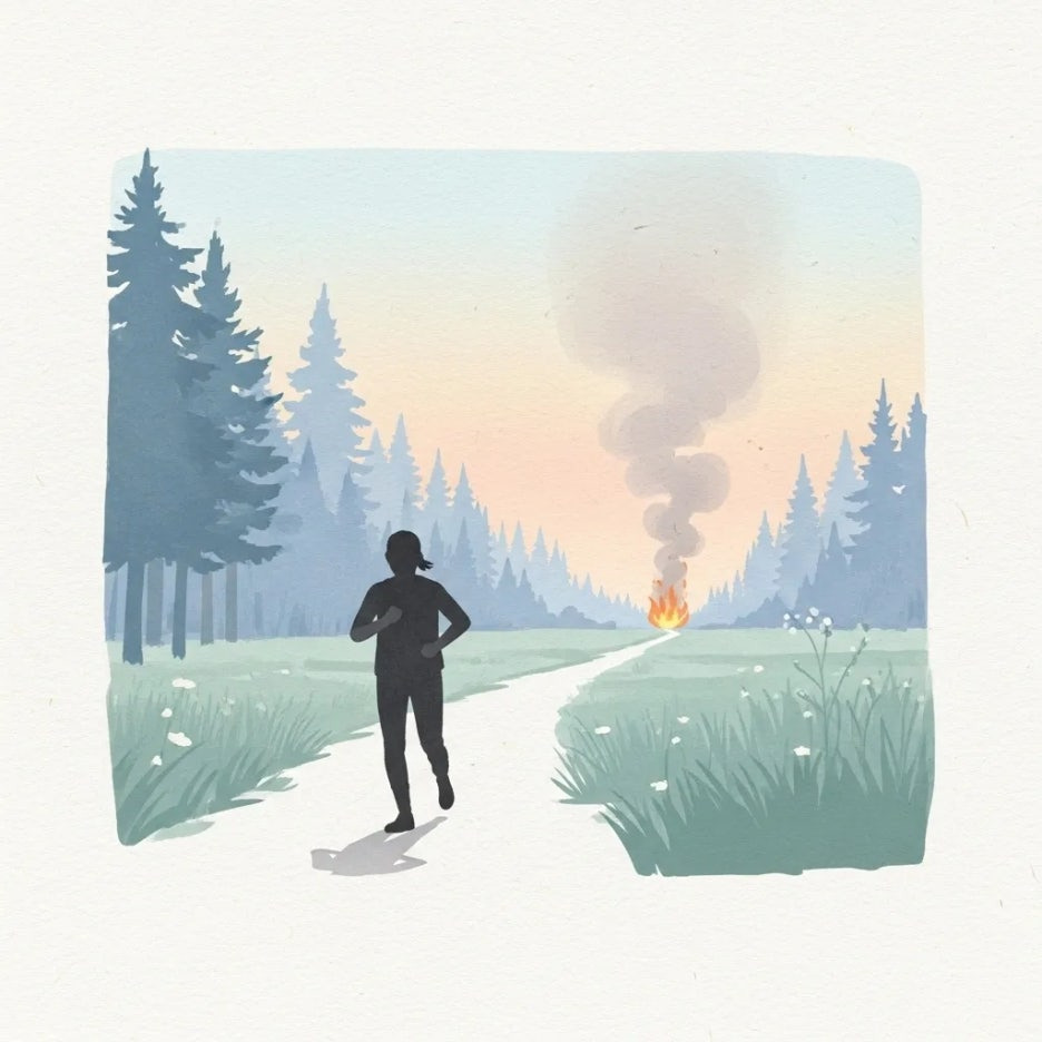 연기가 보이는 숲에서 안전한 곳으로 이동하는 사람