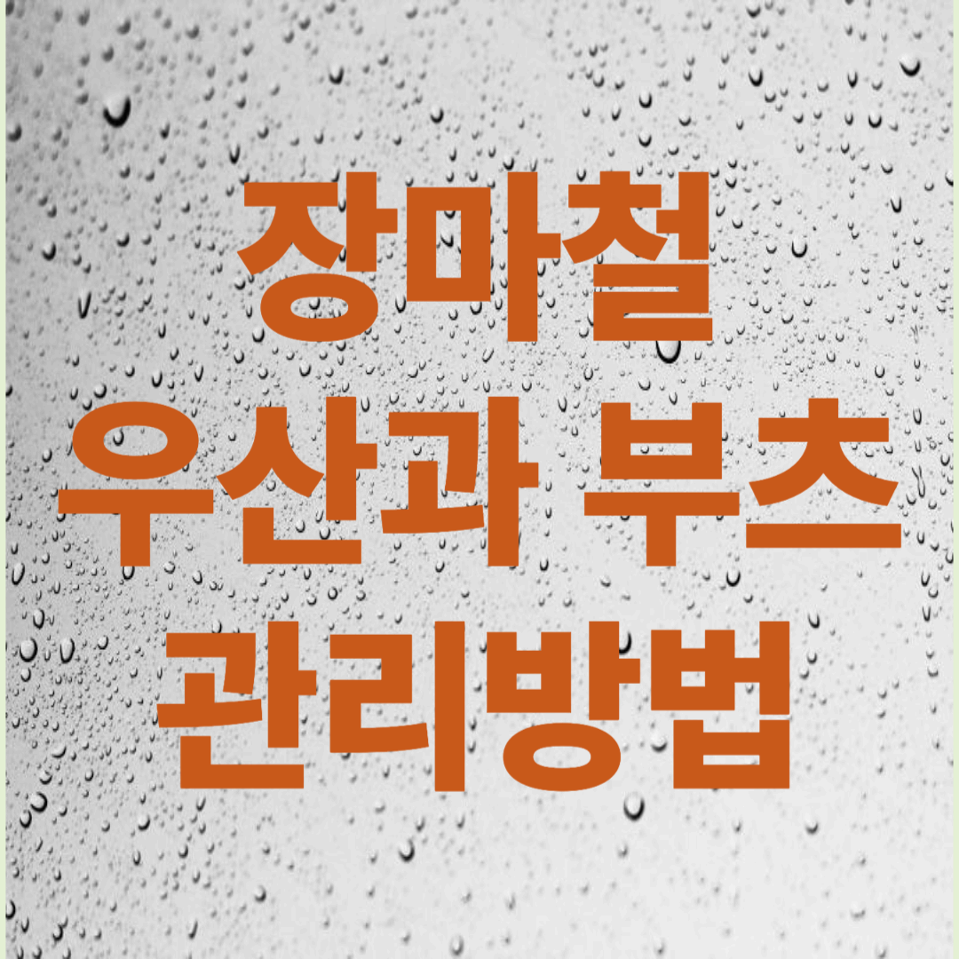 장마철 필수 정리 팁 – 우산과 장화 냄새·곰팡이 예방법