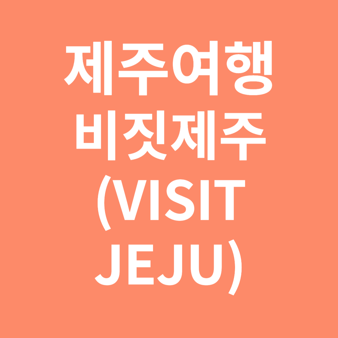 제주여행 할 때 비짓제주 (VISIT JEJU)
