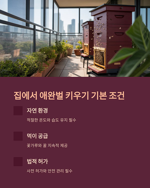 벌을 기를 수 있을까? 조건부터 확인하세요