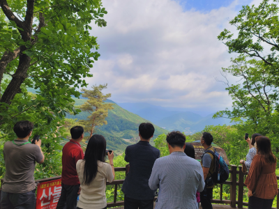 국립산림치유원 예약 방법 이용 가격