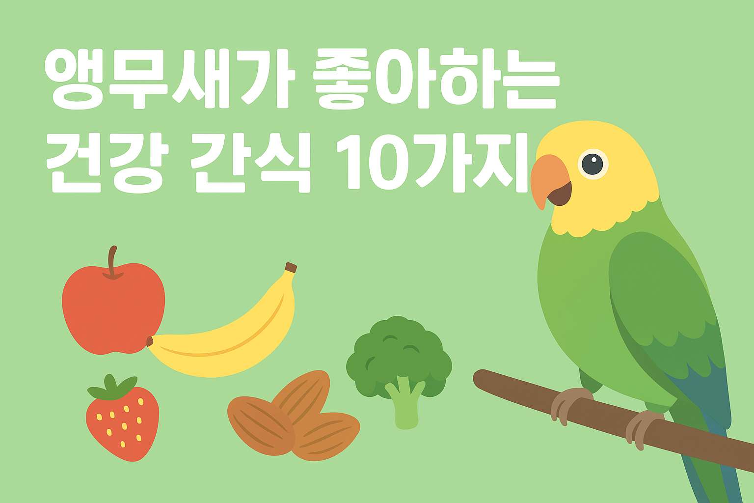 앵무새가 좋아하는 건강 간식 TOP 10