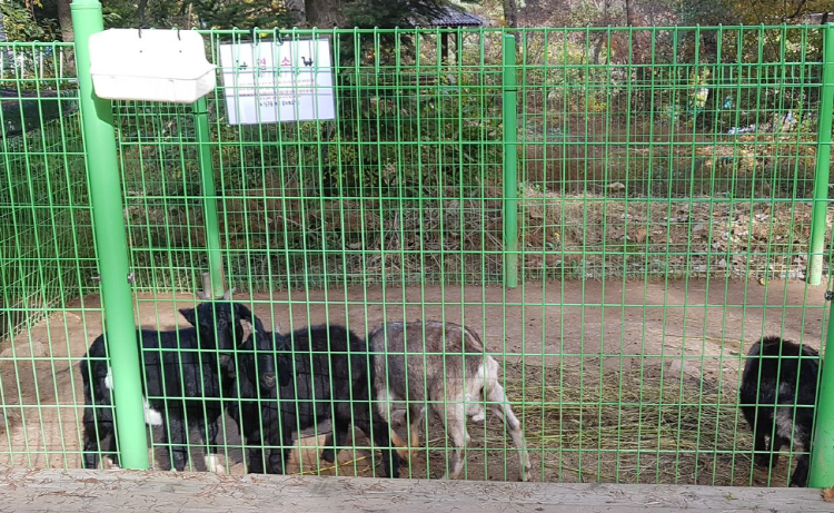 덕평 공룡수목원