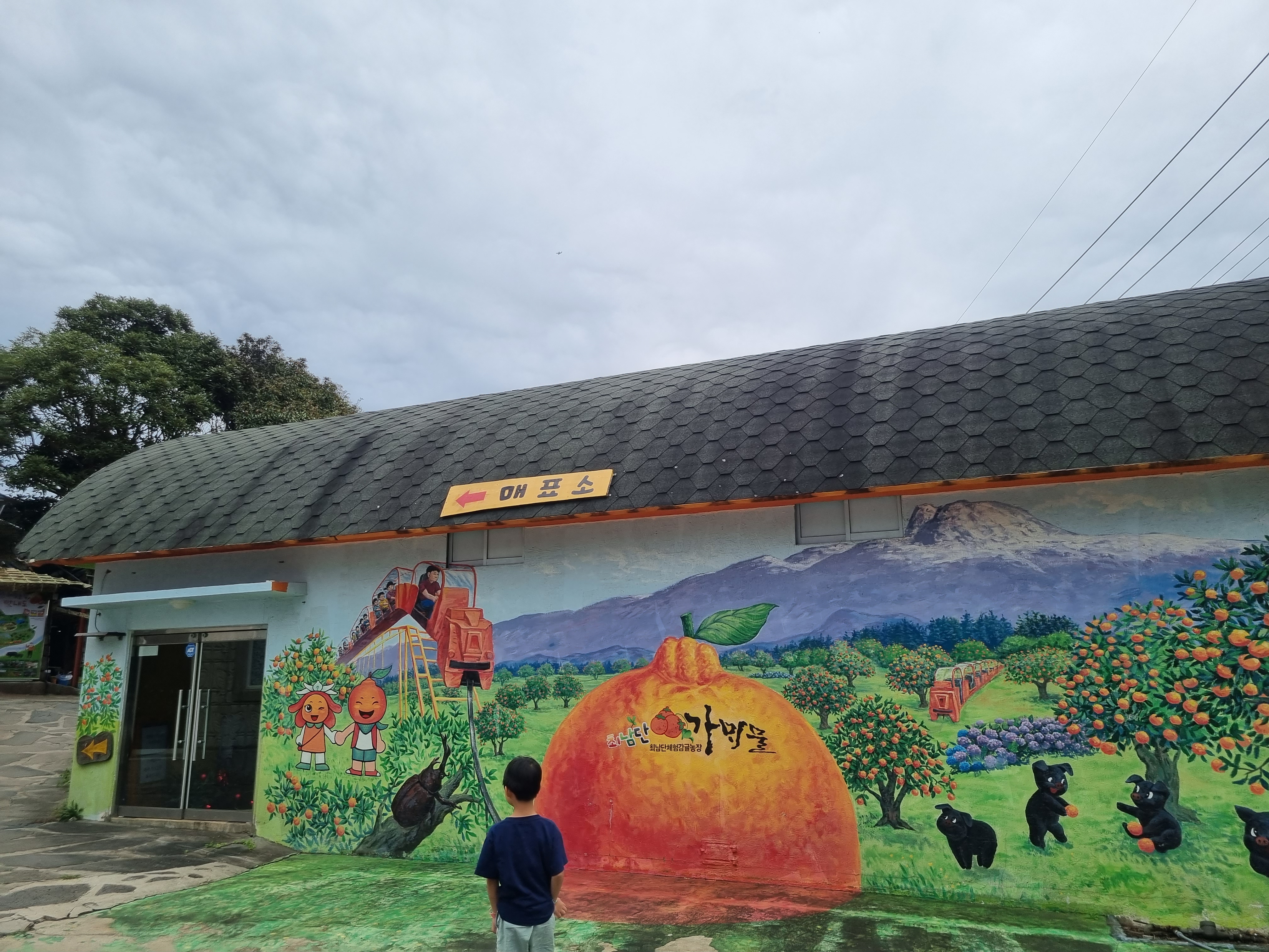 최남단 체험 감귤농장