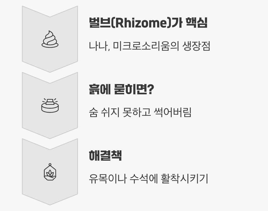땅속에 심는 치명적인 애정