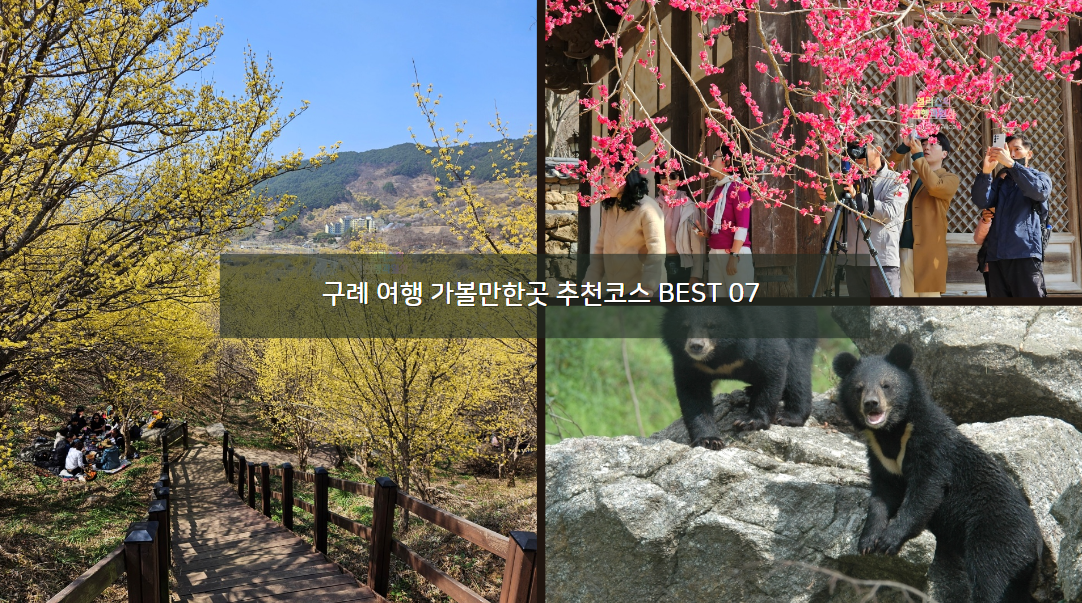 구례 여행 가볼만한곳 추천코스 BEST 07 자연드림파크 산수유 마을
