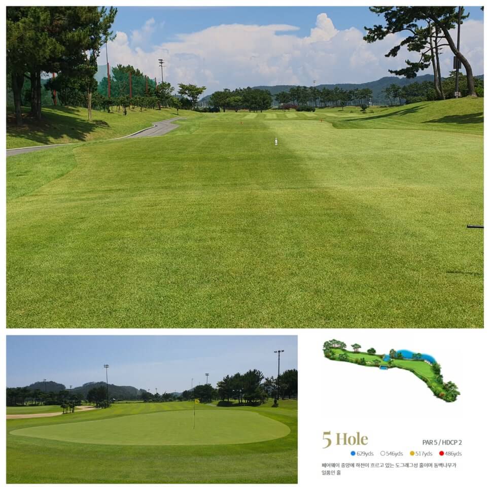 골프장 경험담 태안 스톤비치CC 완벽 가이드 서해 바다와 맞닿은 프리미엄 골프명소