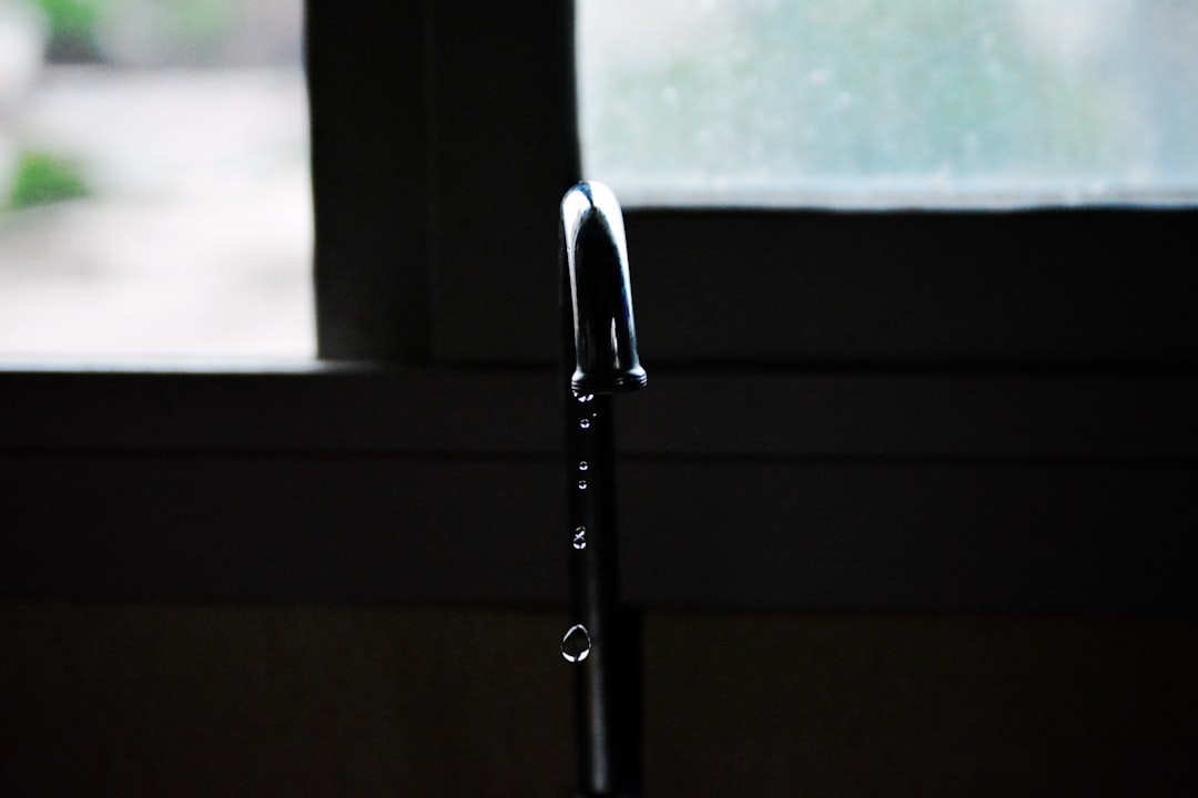 Leak (또는 Leakage)
