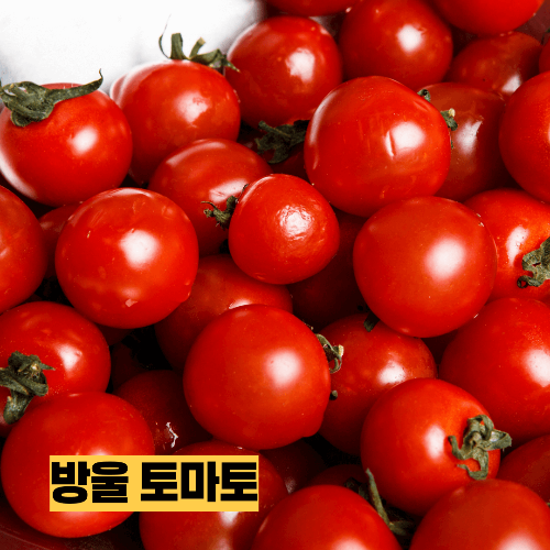 다이어트 식단