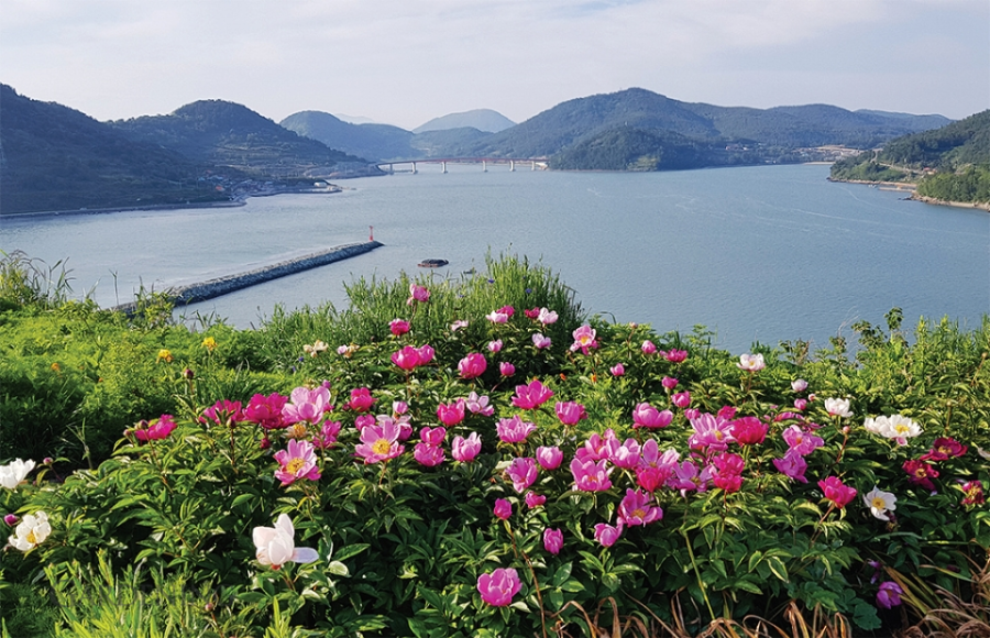 고흥 힐링파크 쑥섬쑥섬