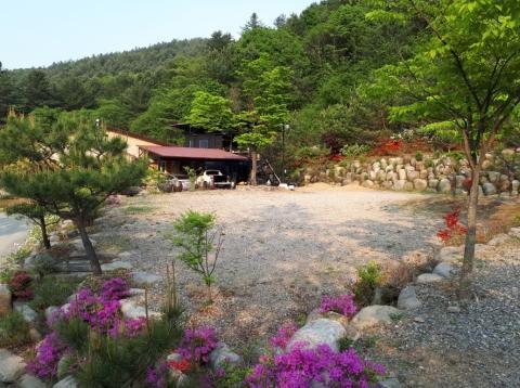 경기-양평-분지울작은캠프장-사진-입니다.