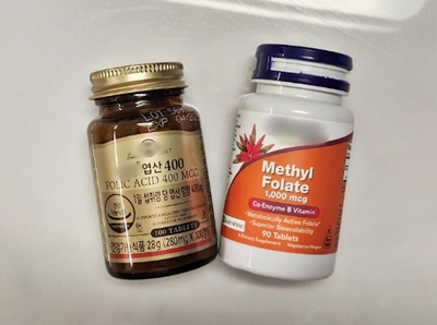 임산부영양제엽산