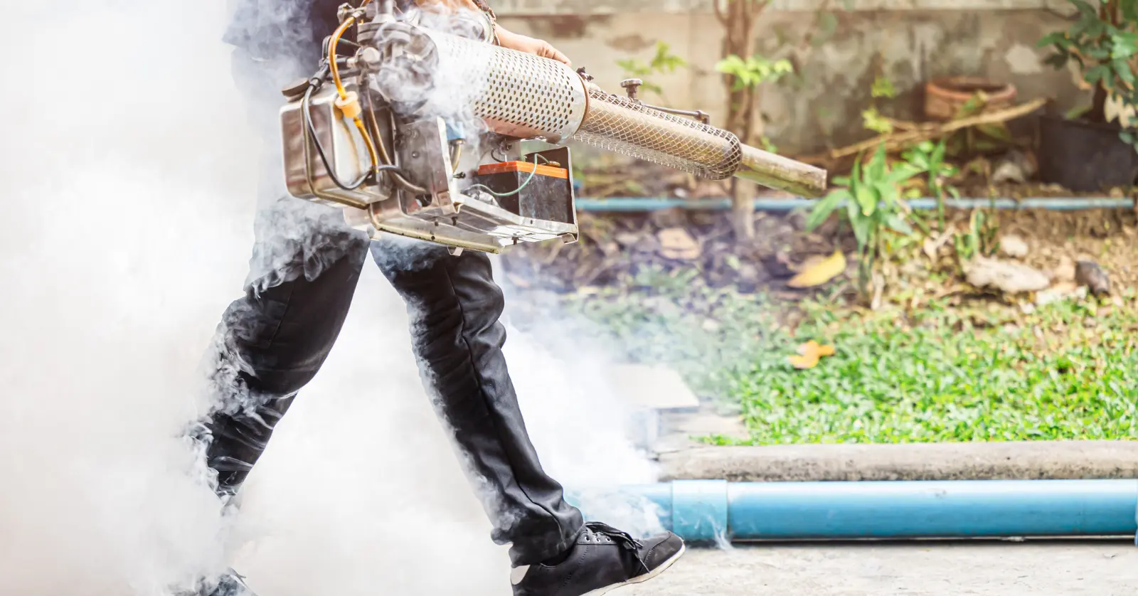 세스코 방역 서비스 후기 요약