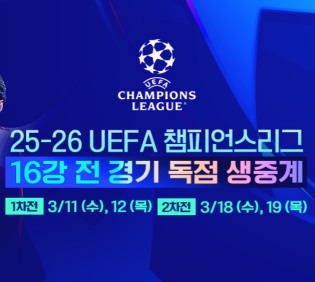 챔피언스리그 일정