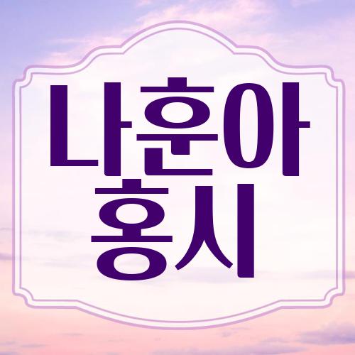 나훈아 홍시