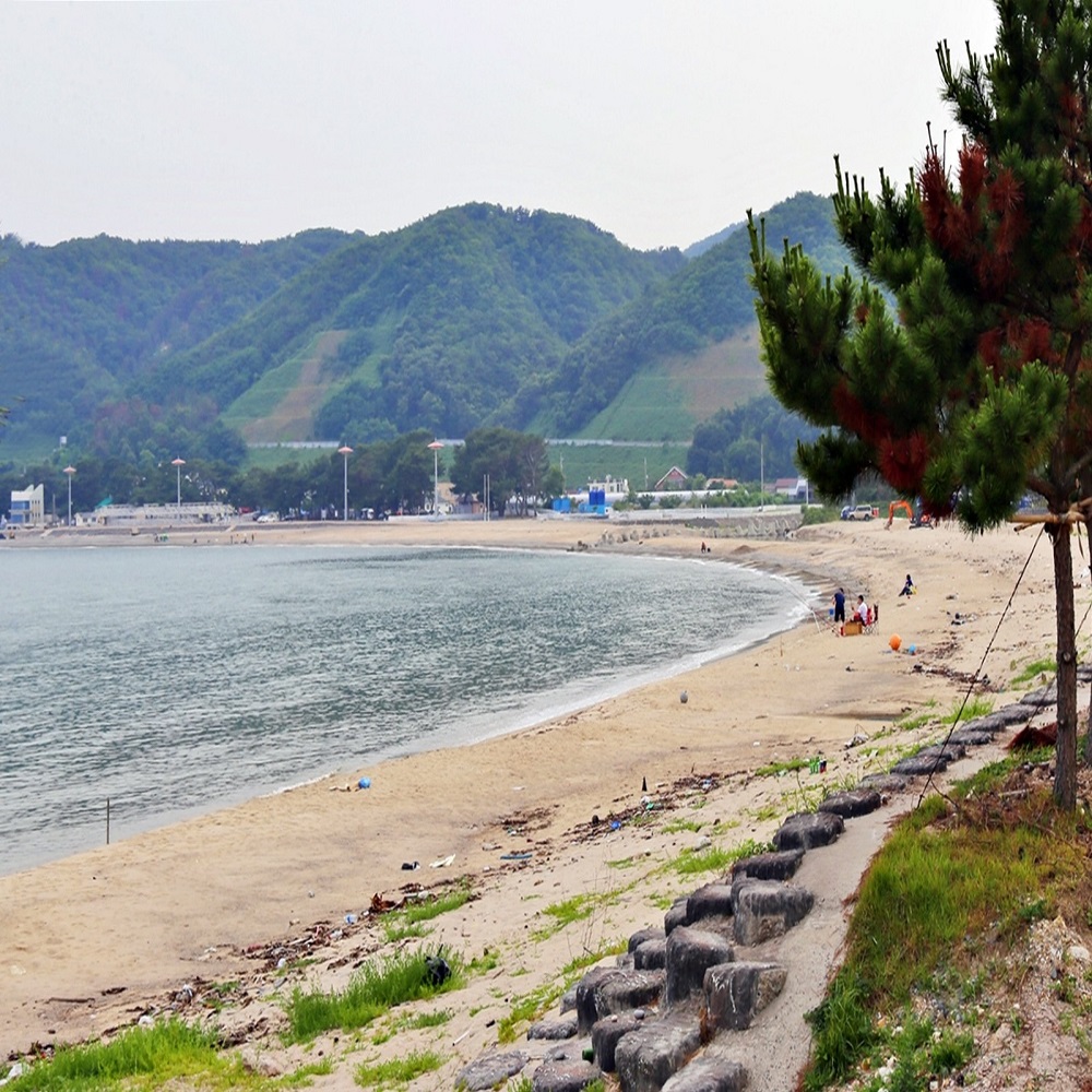 관성 해수욕장 바로가기