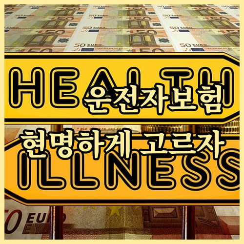 운전자보험 현명하게 선택하는 법: 할..