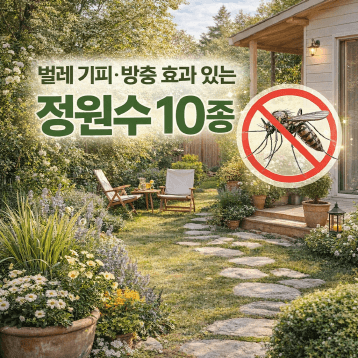 [정원수목]모기&middot;해충 줄이는 정원수 추천 10가지