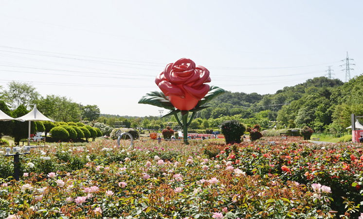 울산 5월 어린이날 300만송이 장미축제 와 울산대공원 놀이시설 이용