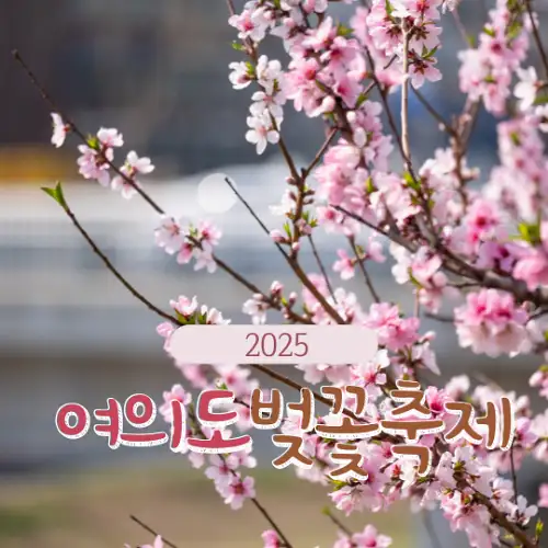 2025 여의도 벚꽃축제