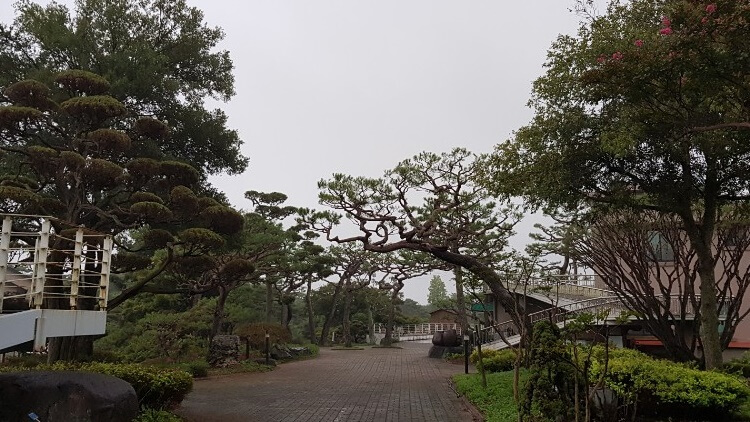 허리 아파서 등산 못하는 사람을 위한 , 자동차로 갈 수 있는 산정상