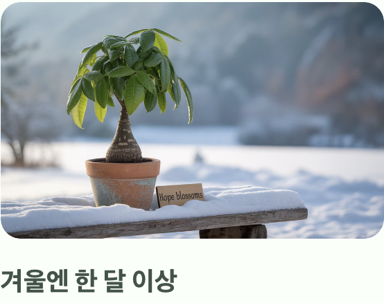 가장 중요한 단 하나의 규칙, 물주기