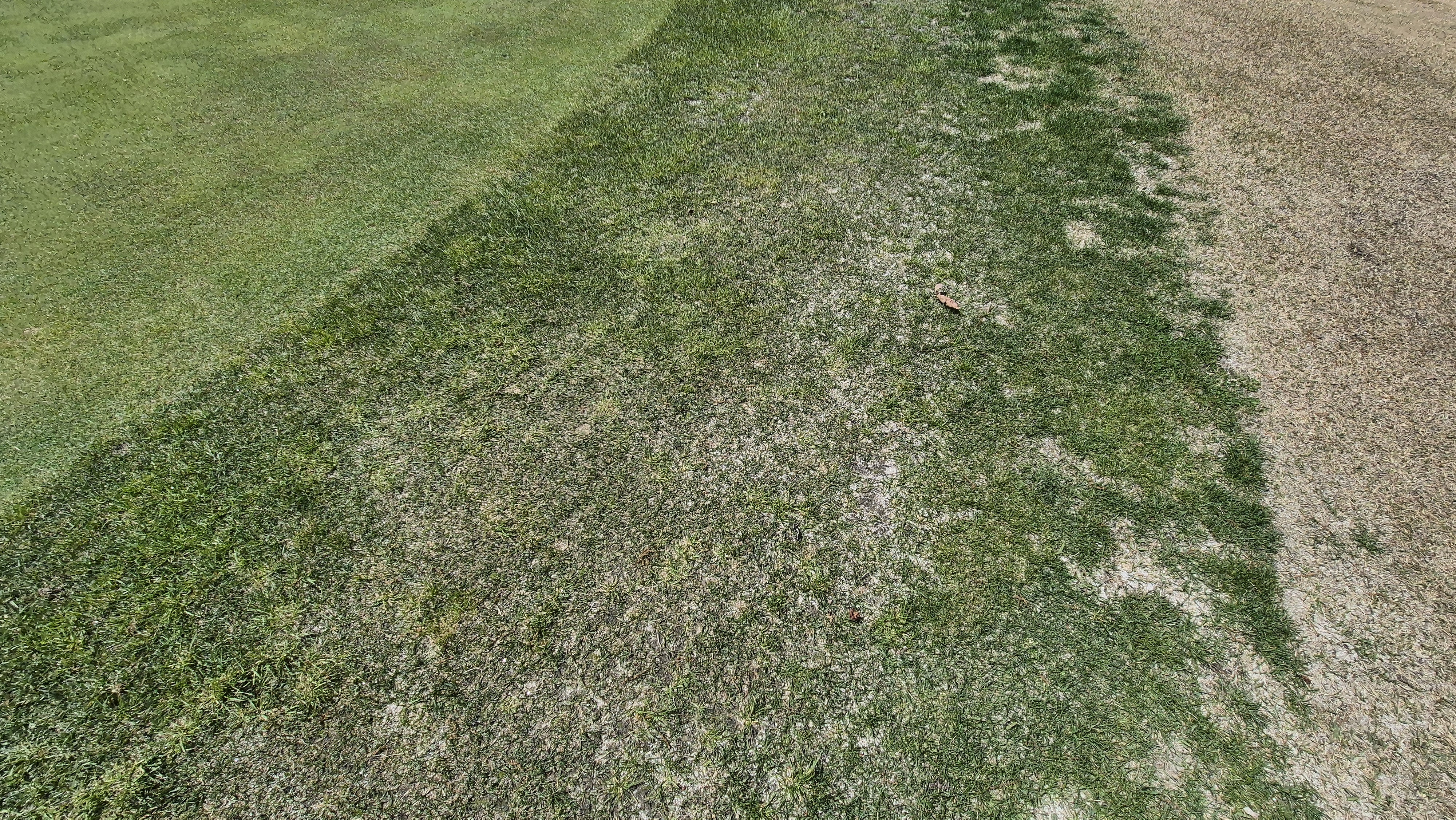 한원cc 라운드후기