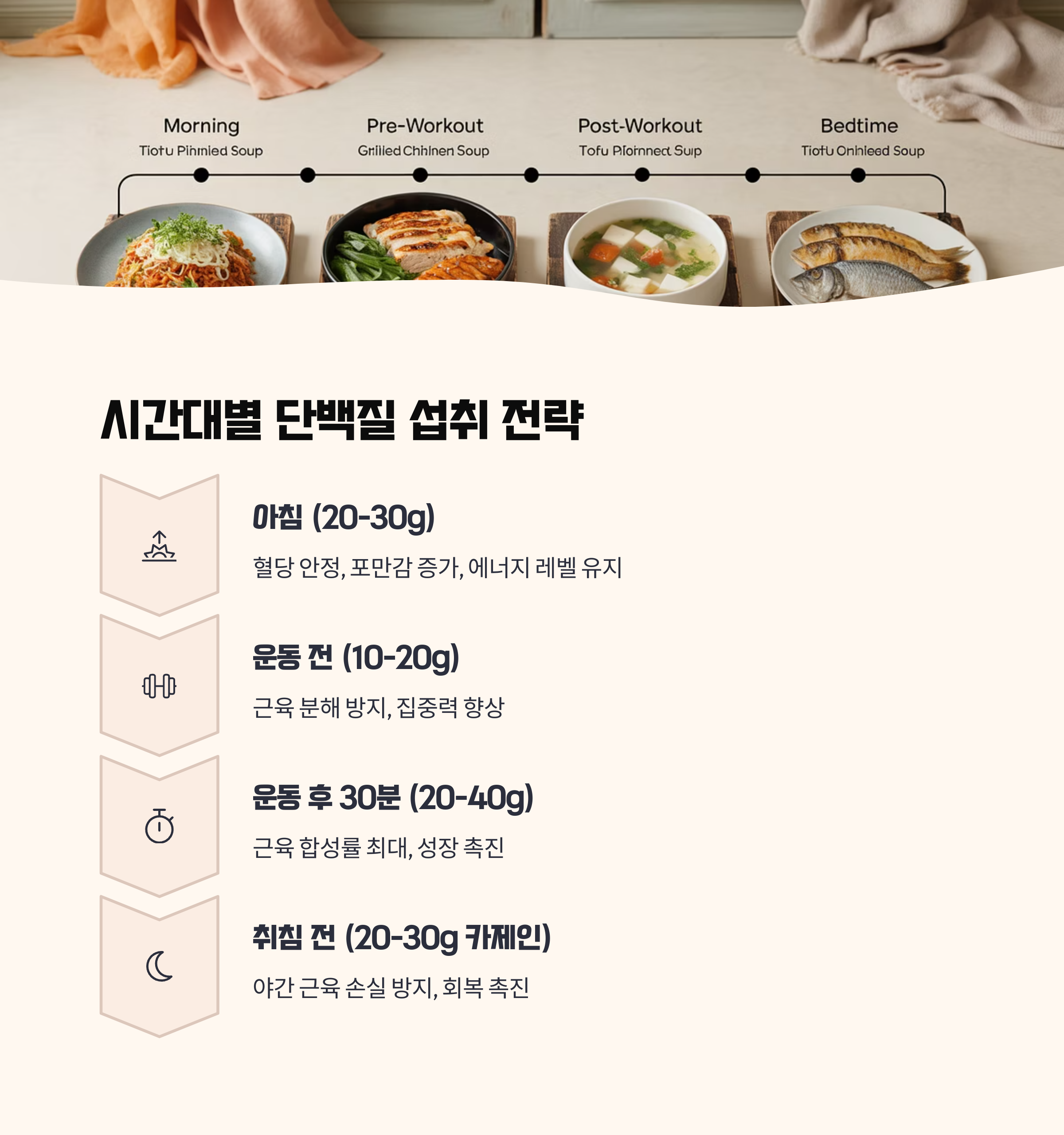 단백질 섭취 타이밍별 전략 가이드
