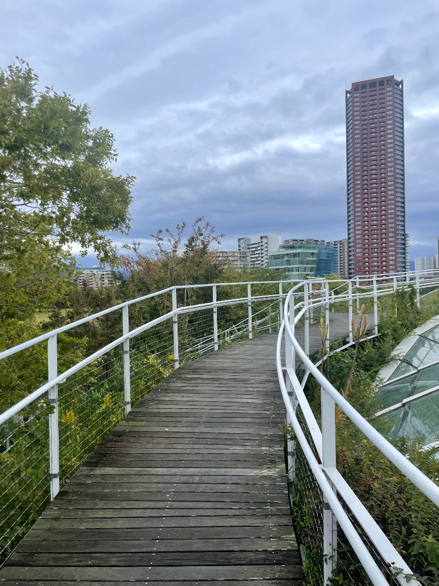 아일랜드시티 중앙공원 3개건물 연결 브릿지와 계단3
