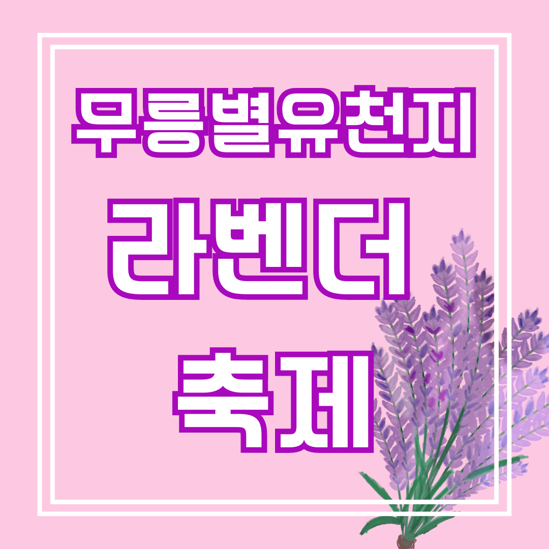 라벤더축제 썸네일