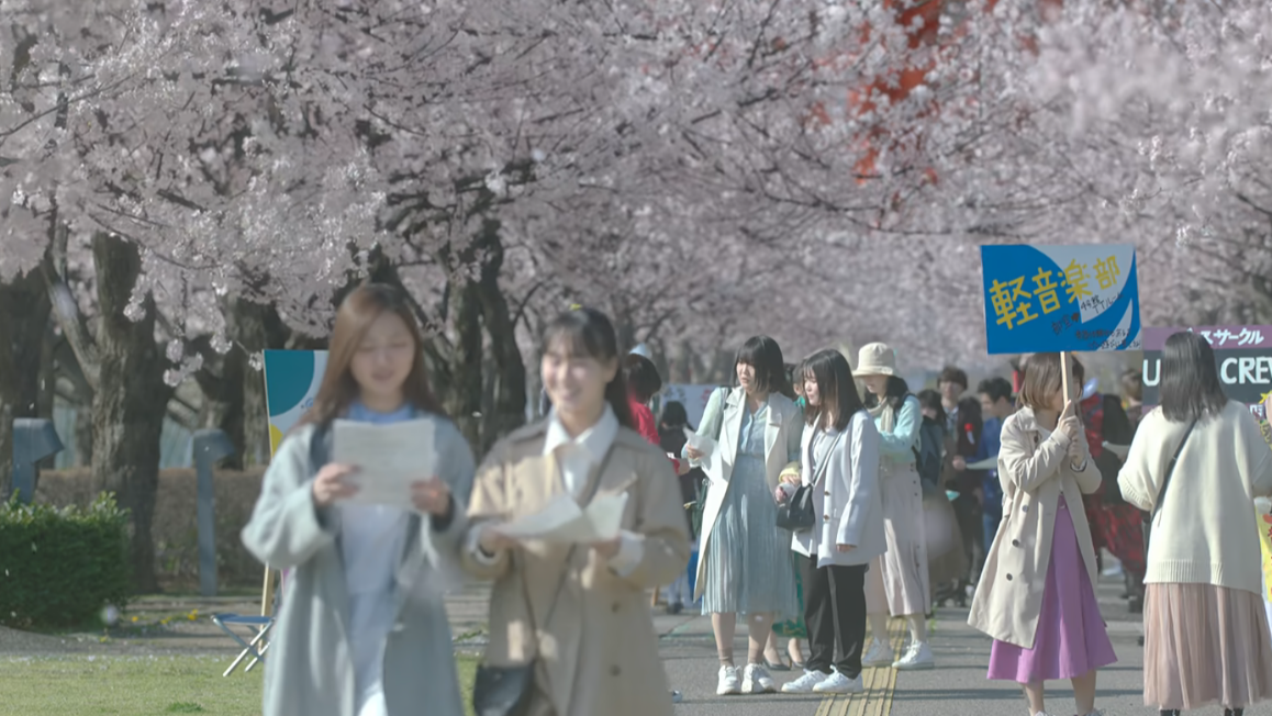 영화 벚꽃같은 나의연인 넷플릭스