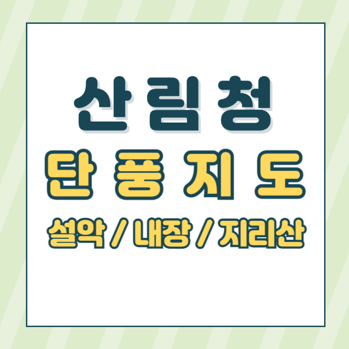 산림청단풍예측지도