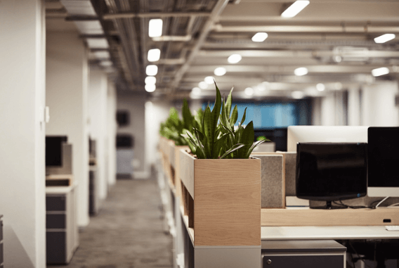 연말정산 카드공제 및 실손보험 중복 실수를 주의하라는 본문 편집 화면으로, 국세청 건물과 은행카드 이미지를 함께 배치한 티스토리 글 작성 화면