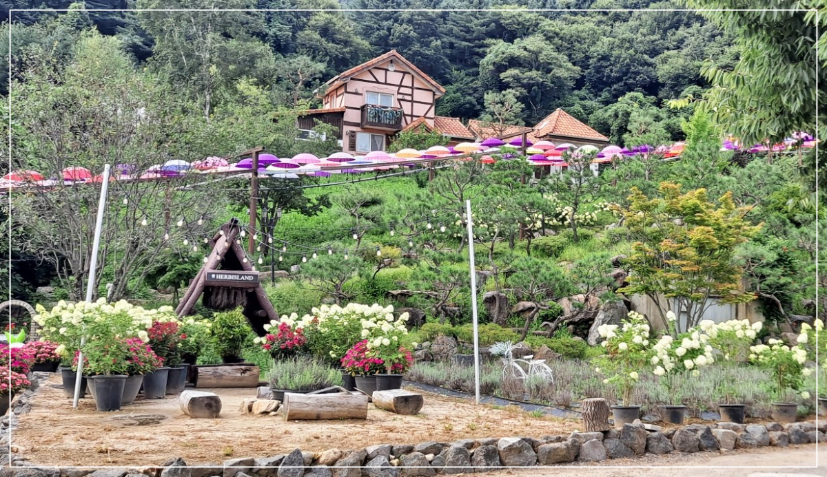 허브-우산-길