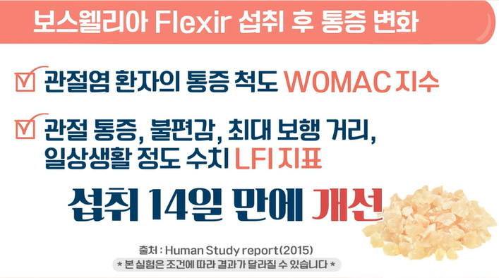 차세대 보스웰리아