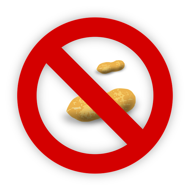 초기이유식 식단표