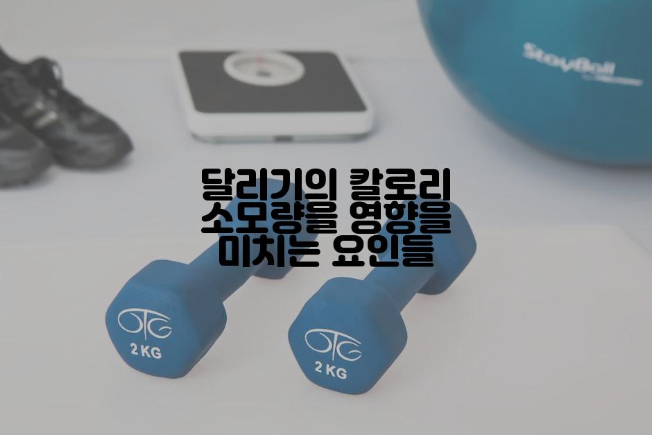 달리기의 칼로리 소모량을 영향을 미치는 요인들