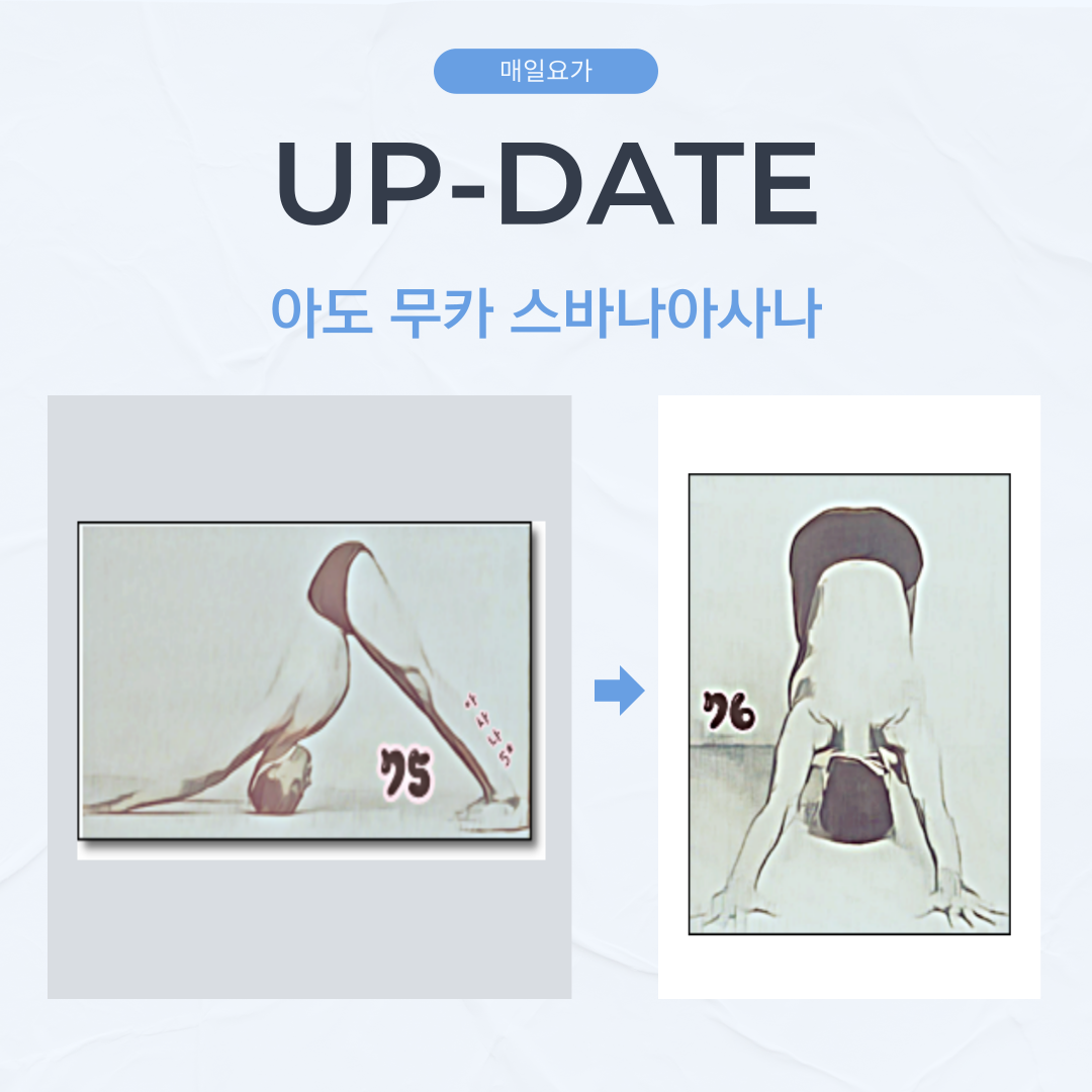 아도 무카 스바나아사나