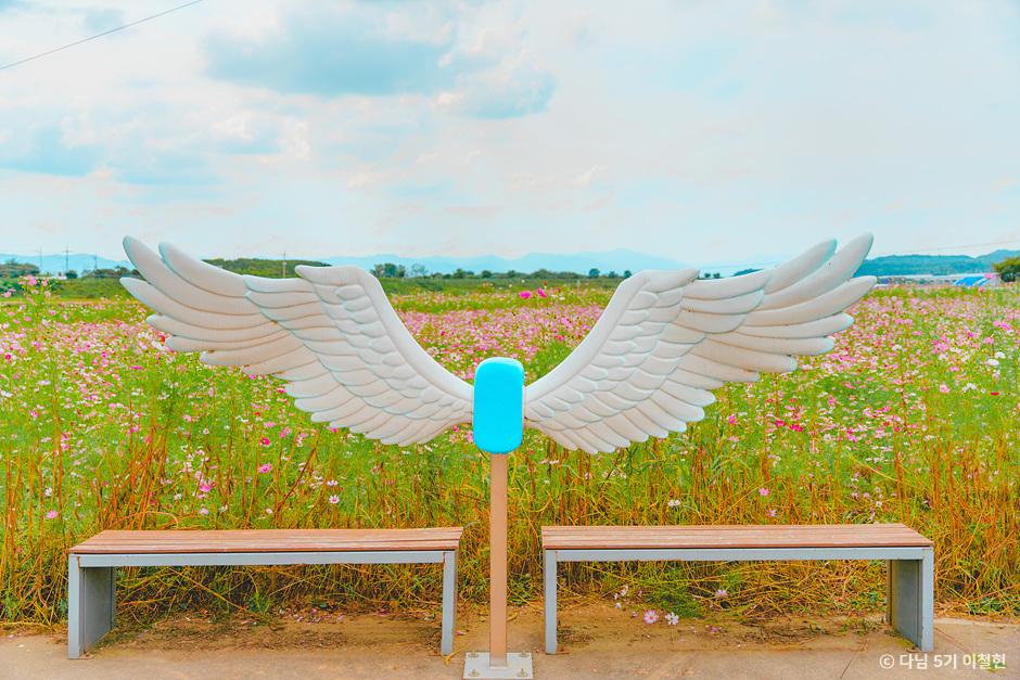 가을 여행지 코스모스 꽃구경 추천 장소