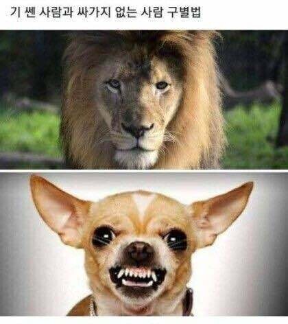 기존쎄