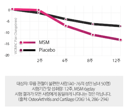 MSM 섭취시 통증 감소 그래프표