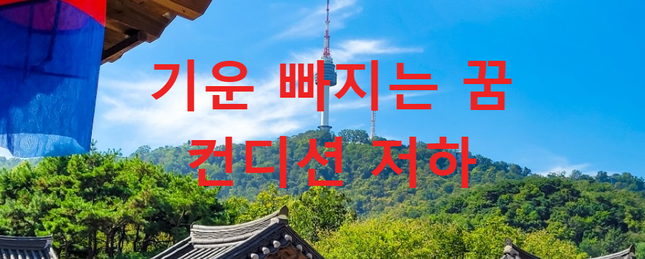 꿈과건강