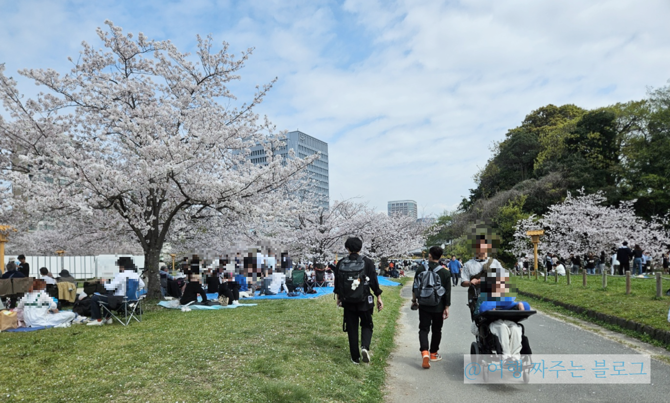 오호리 공원 벚꽃