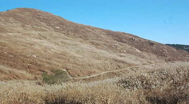 화왕산