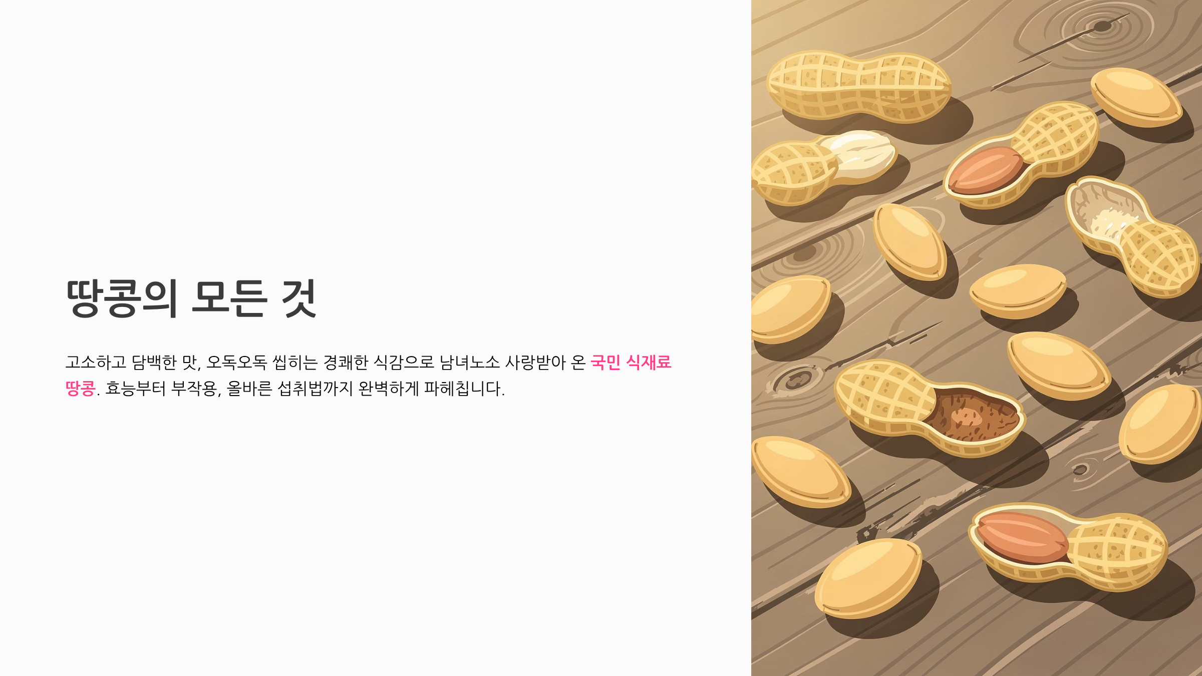땅콩 효능과 부작용 완벽 가이드 하루 섭취량부터 치명적인 곰팡이 독소 예방까지