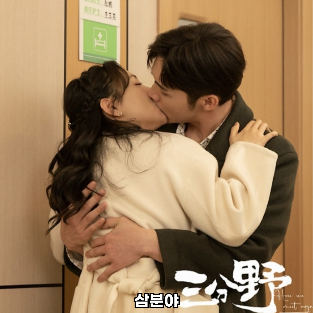 삼분야 중드 로맨스