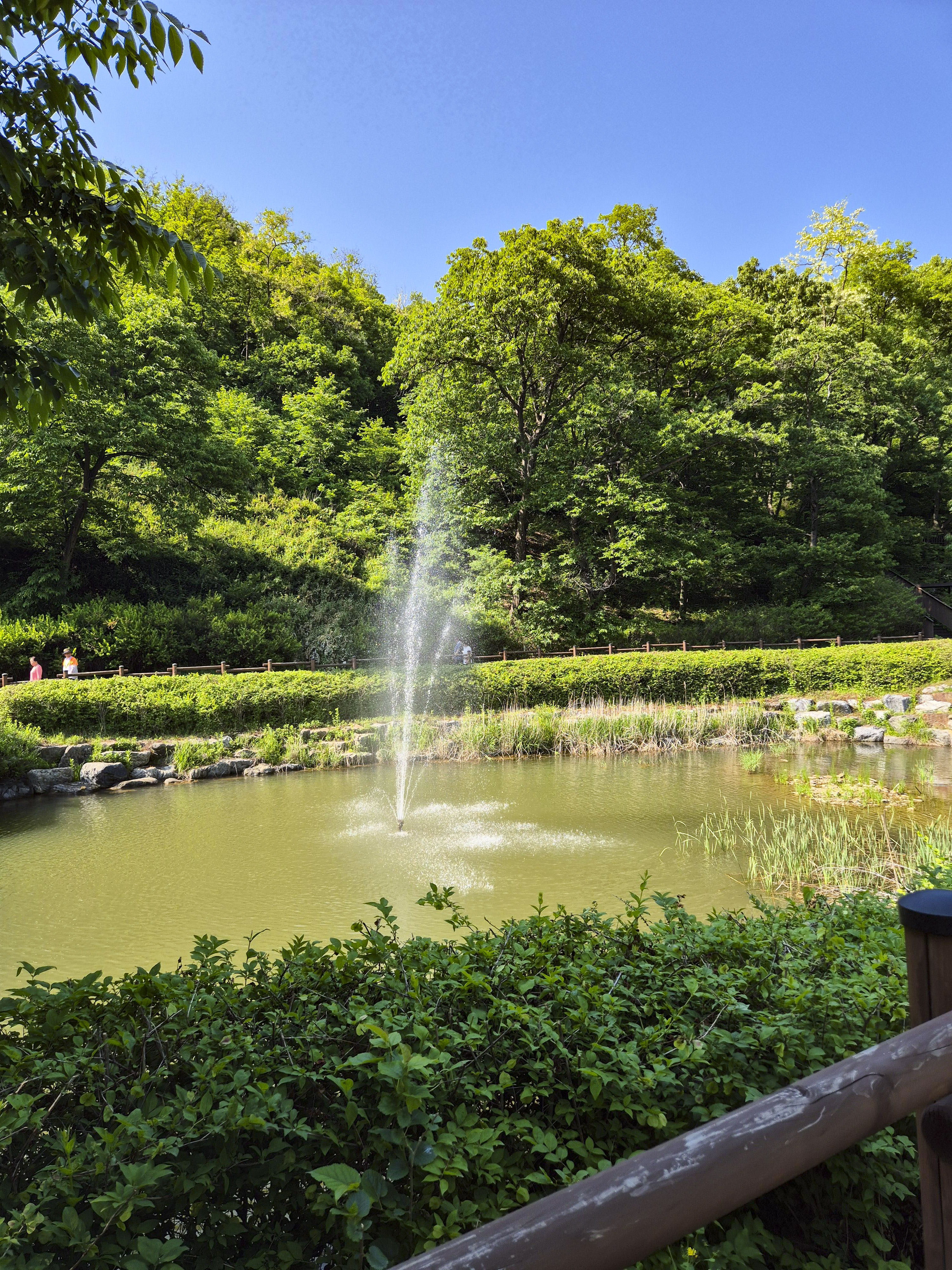 수목원 중반부에 있는 작은 분수